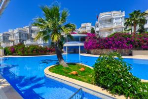 Image of B Type Oasis Club II Full Seaview