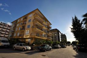 Image of Sultan Sipahi