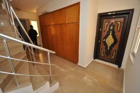 Image of Tropical Apart