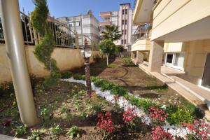 Image of Koza apt