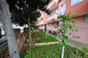 Image of Alcon 32 Penthouse