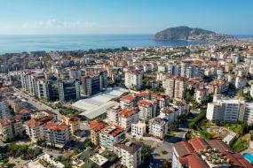 Image of Alcon 14 No. 3