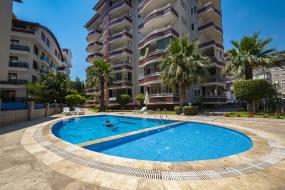 Image of Orchid Apt. nr. 19