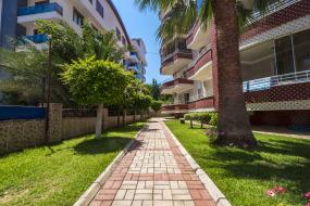 Image of Orchid Apt. nr. 19