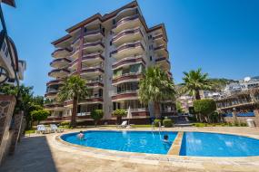 Image of Orchid Apt. nr. 19