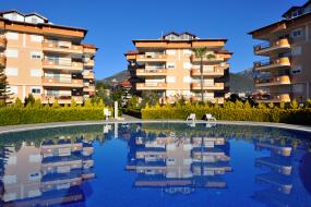 Image of Oba Oasis C:6