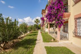 Image of Garden dublex Kestel