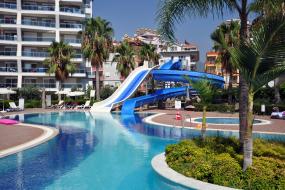 Image of Crystal Garden 1+1