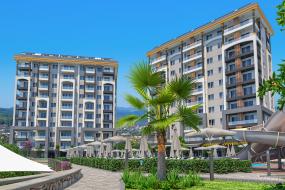 Image of Emerald Paradise