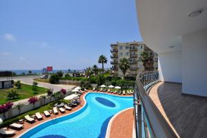Image of Calista Premium