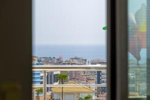 Image of Elite 4 B49