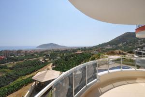 Image of Panorama Vista